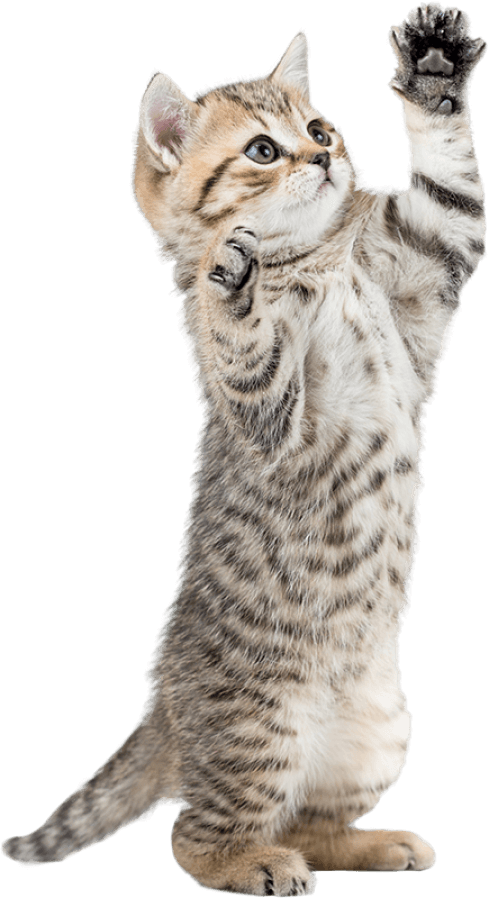Louisville Veterinary Referral Center